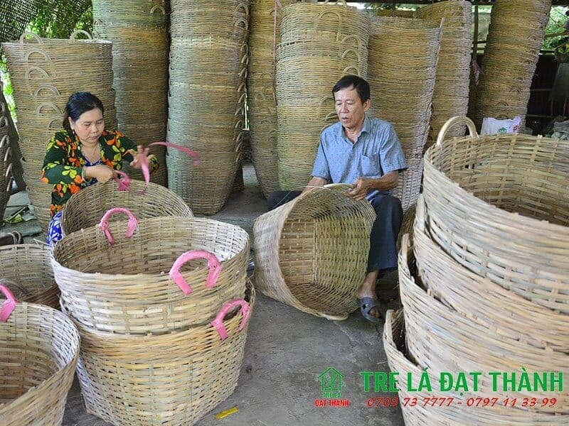 cần x&eacute; tre lớn