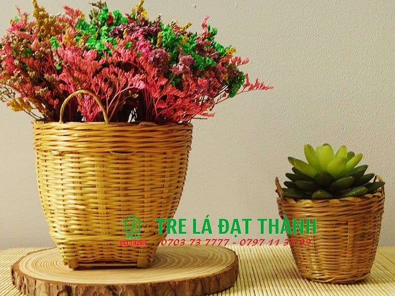 cần x&eacute; tre nhỏ
