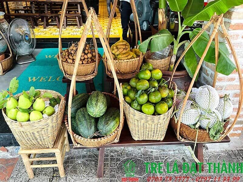 cần x&eacute; tre