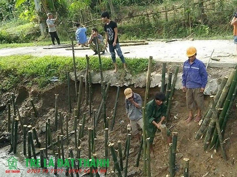 1m2 đóng bao nhiêu cọc tre 1m2 đóng bao nhiêu cọc tre