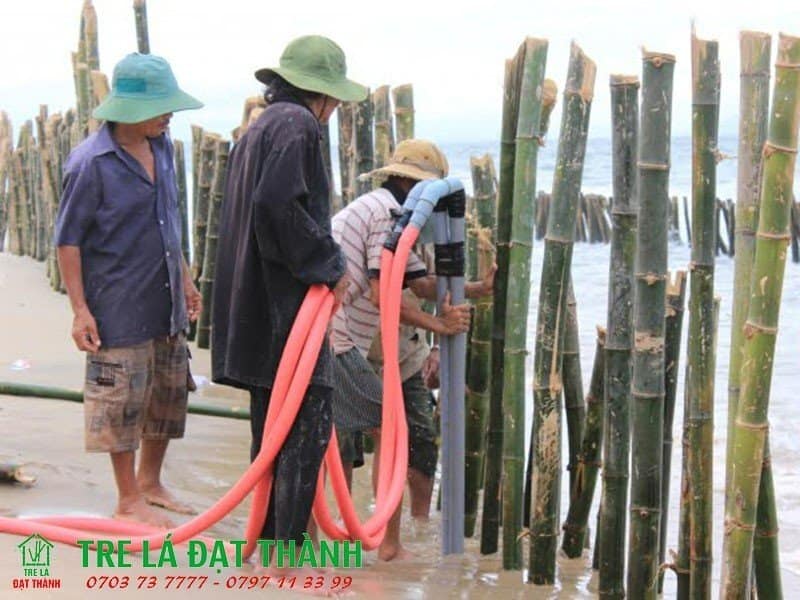 cọc tre công trình cọc tre công trình