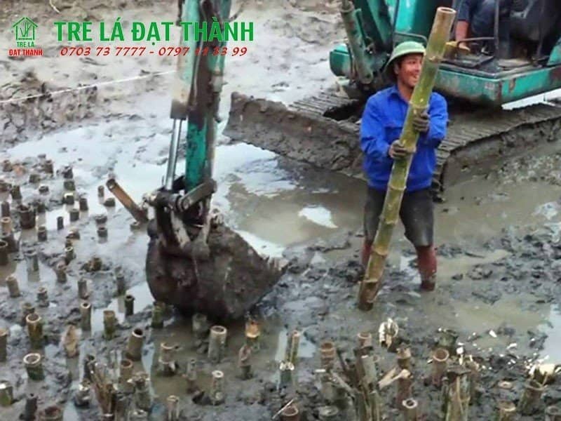 đóng cọc tre đóng cọc tre