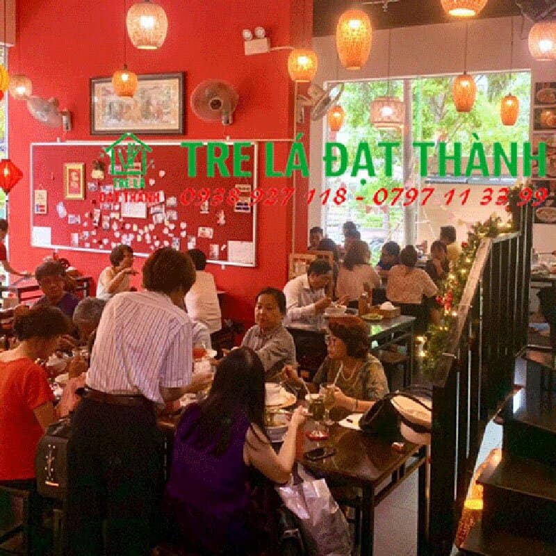Chao Đ&egrave;n T&aacute;o M&acirc;y Tre