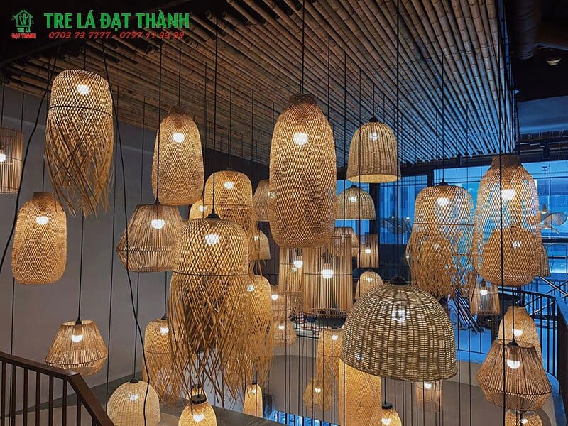 đ&egrave;n con sứa