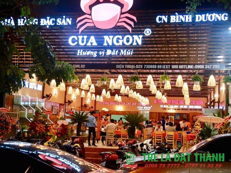 đ&egrave;n nơm tre