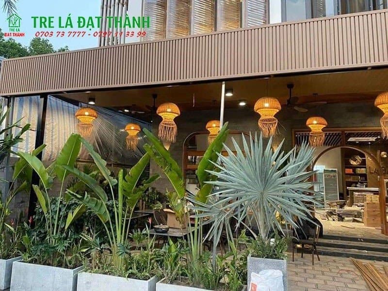 Đ&egrave;n Sứa M&acirc;y Tre