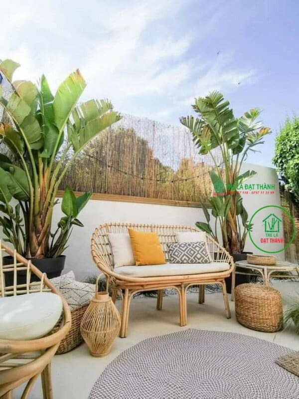 đồ m&acirc;y tre trang tr&iacute;