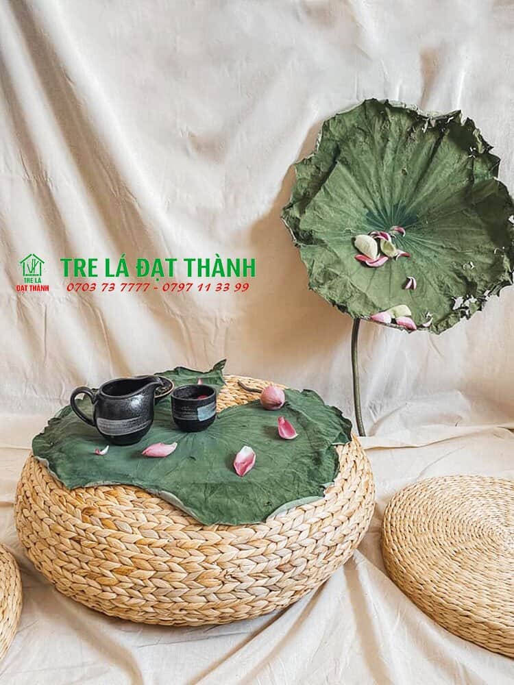 đôn lục bình khung sắt