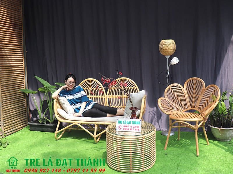 Ghế M&acirc;y Đọc S&aacute;ch GMDS042