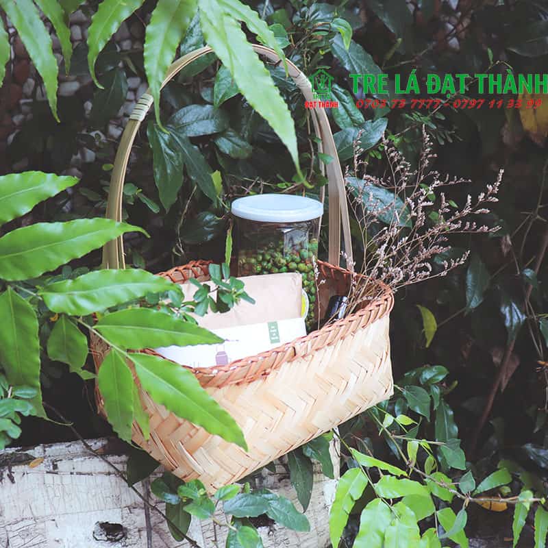 Giỏ M&acirc;y Tre Đan GMTD015