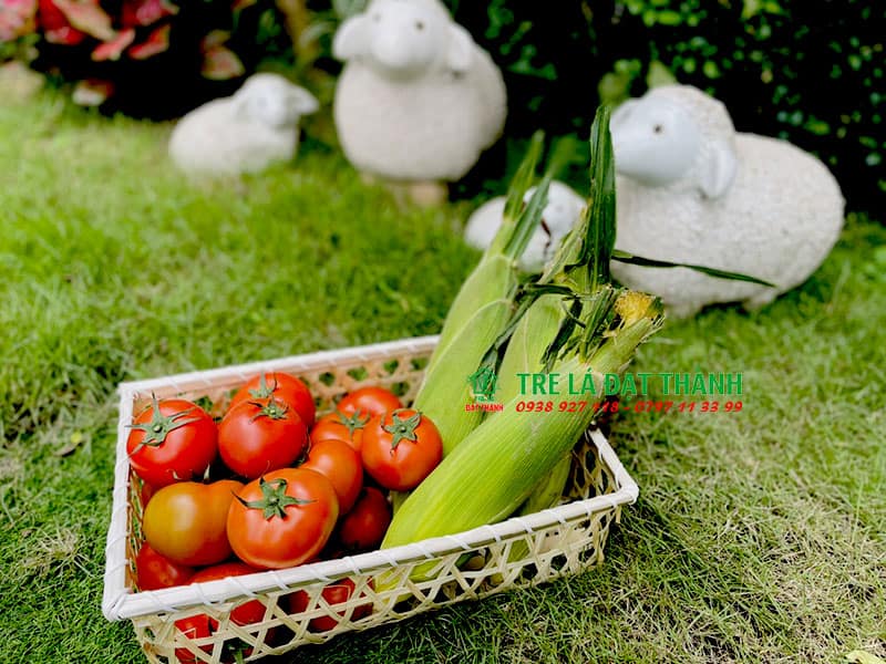 hộp qu&agrave; m&acirc;y tre đan HQMTD023