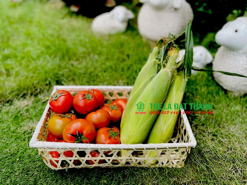 hộp qu&agrave; m&acirc;y tre đan HQMTD023