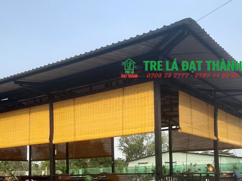 m&agrave;nh tre tr&uacute;c cạo tinh m&agrave;u v&agrave;ng