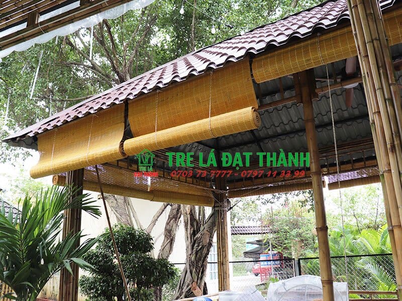 m&agrave;nh tre tr&uacute;c cạo tinh m&agrave;u v&agrave;ng