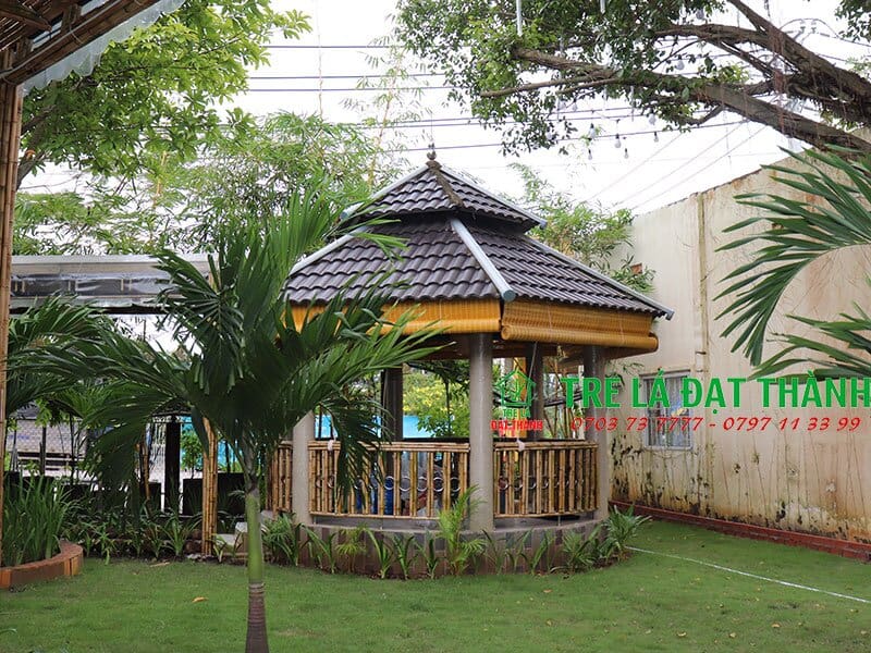 m&agrave;nh tre tr&uacute;c cạo tinh m&agrave;u v&agrave;ng