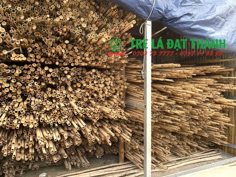 cây trúc khô trang trí cây trúc khô trang trí