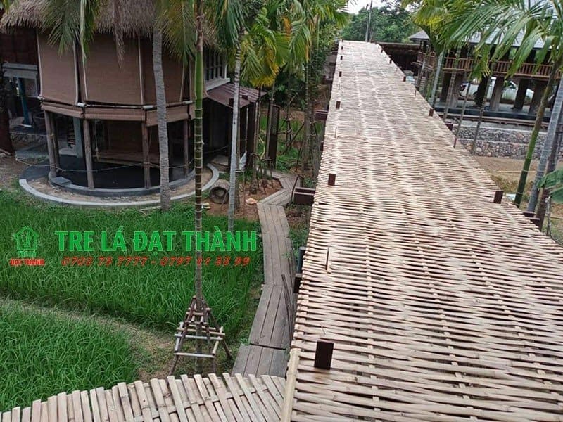 ph&ecirc;n tre nứa