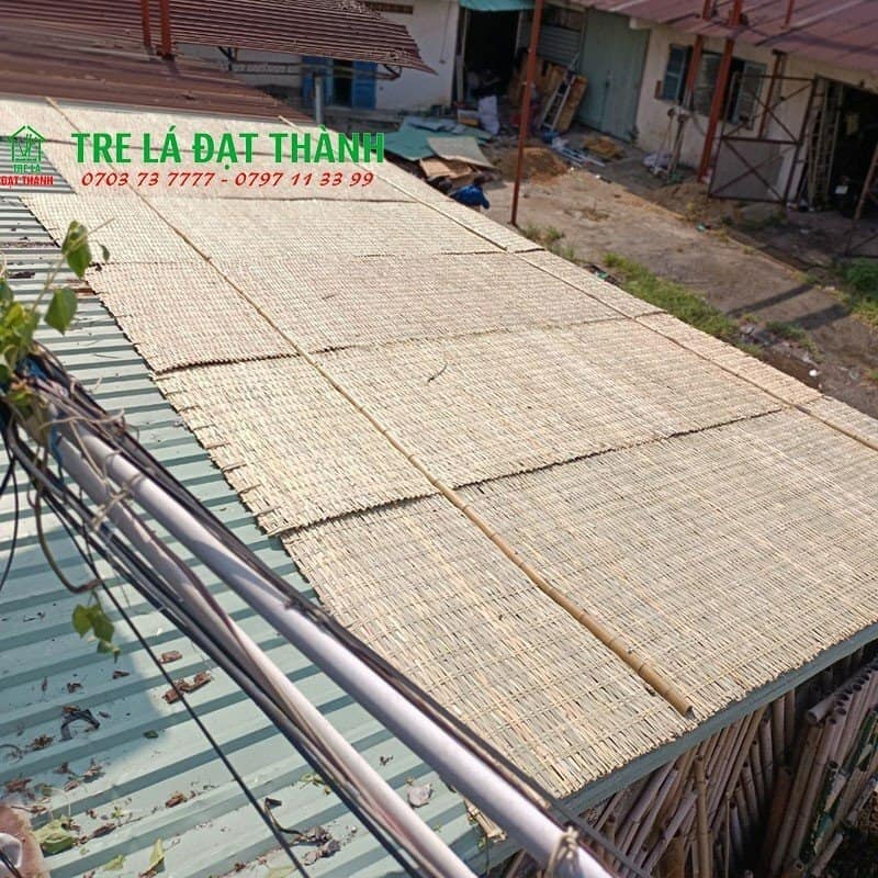 ph&ecirc;n tre trang tr&iacute;