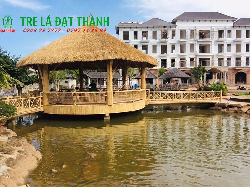 thi c&ocirc;ng ch&ograve;i l&aacute;