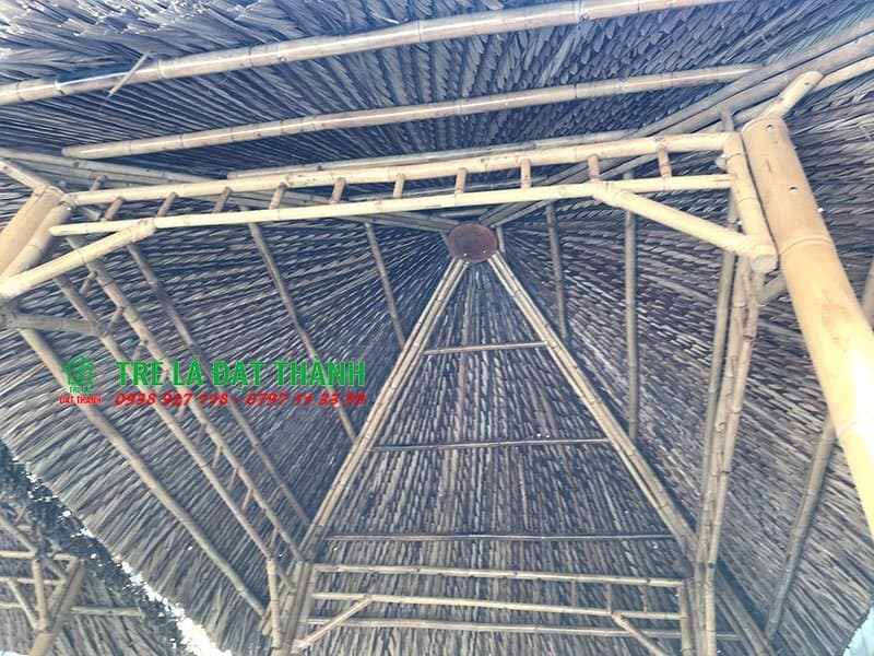 thi c&ocirc;ng ch&ograve;i l&aacute;