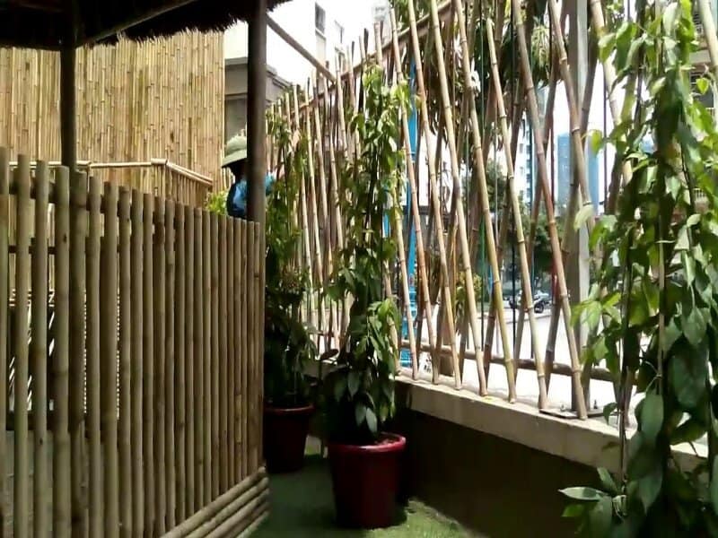 thiết kế hàng rào tre thiết kế hàng rào tre