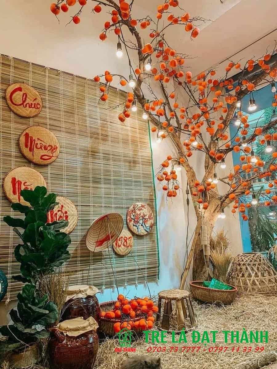 c&aacute;ch trang tr&iacute; c&acirc;y cảnh ng&agrave;y tết