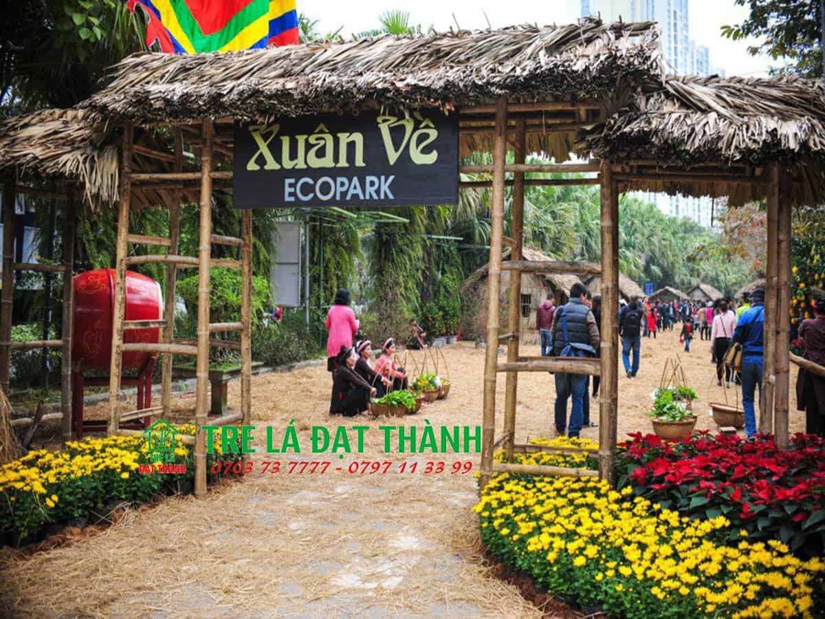 cổng tre trang tr&iacute; tết