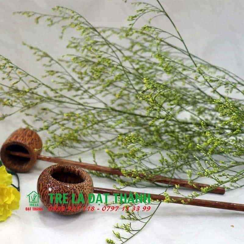 g&aacute;o dừa