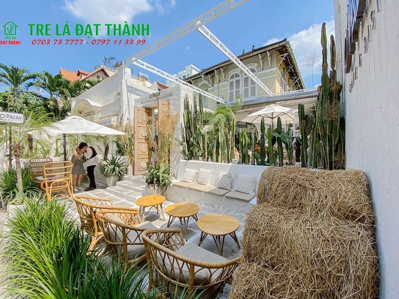 s&aacute;ng tạo từ tre