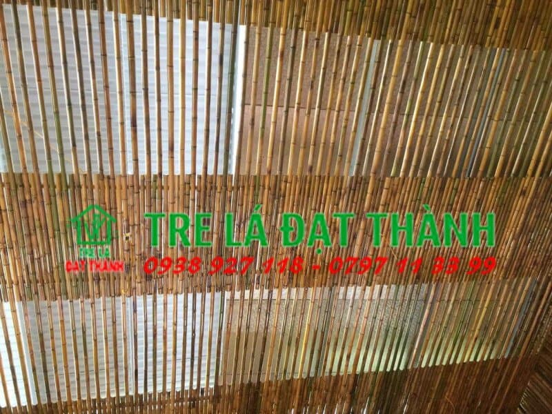 trần m&acirc;y tre