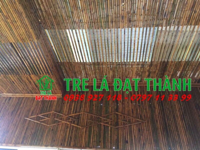 trần m&acirc;y tre