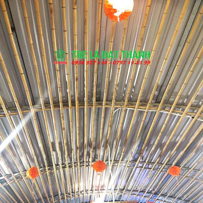 trần tre tr&uacute;c