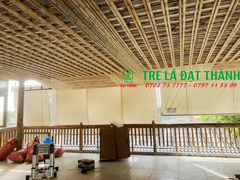 trần tre tr&uacute;c