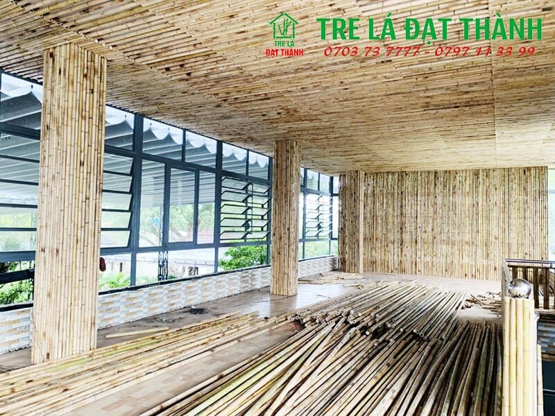 trần tre tr&uacute;c
