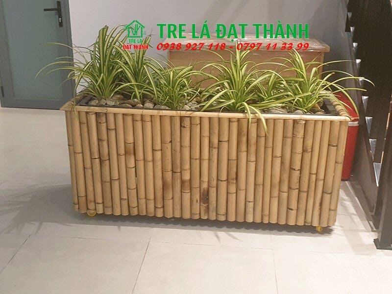 trang tr&iacute; tre tr&uacute;c qu&aacute;n ăn hoa mai