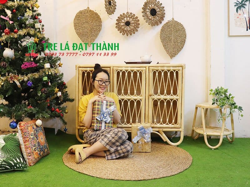 tủ m&acirc;y đan gi&aacute; rẻ