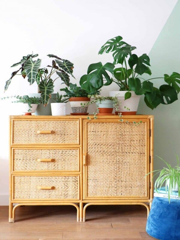 tủ m&acirc;y tre đan TMTD003