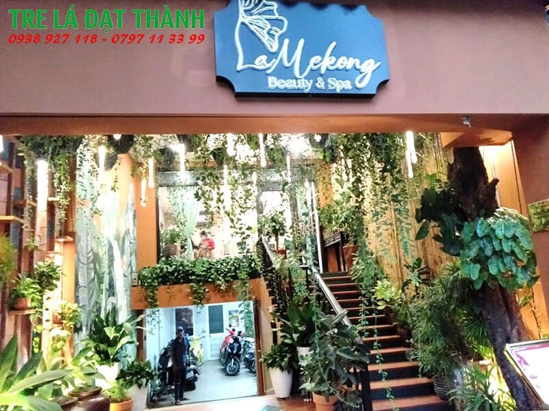 ốp tường bằng tre