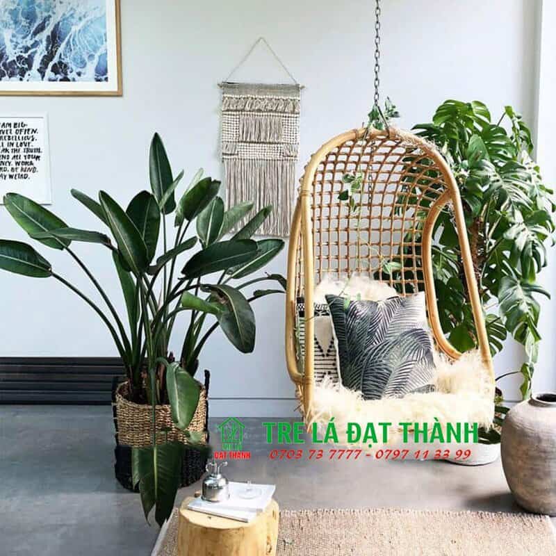 x&iacute;ch đu trứng