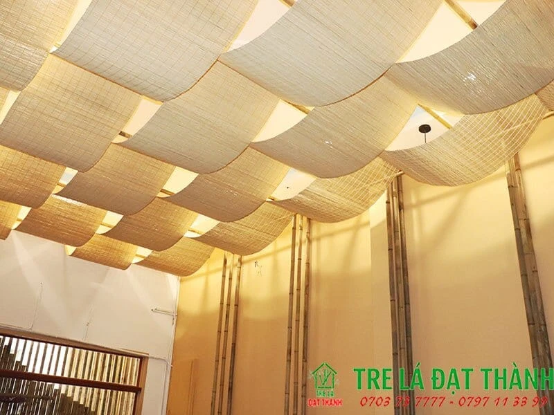 Trần Mành Tre Trần Mành Tre